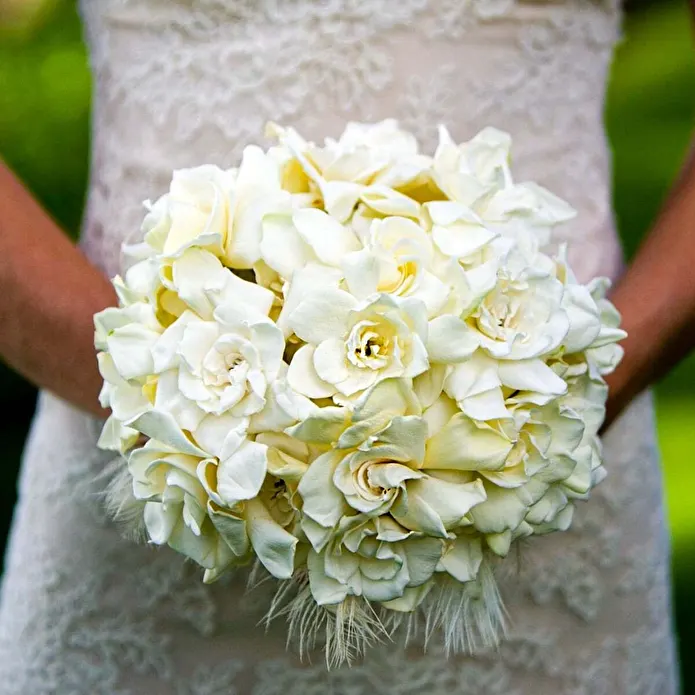 Item image_1