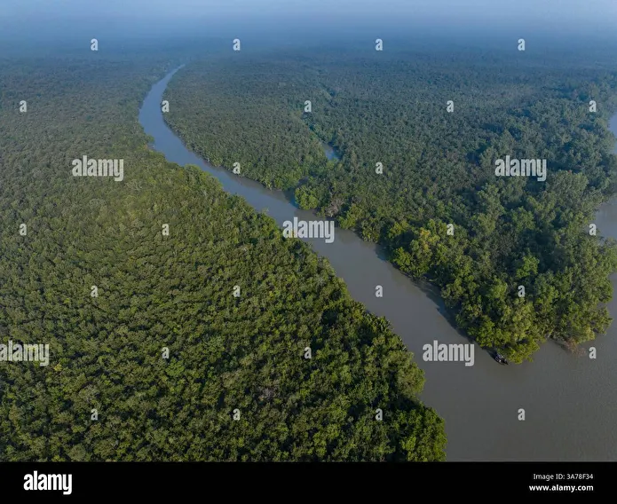 Item image_1