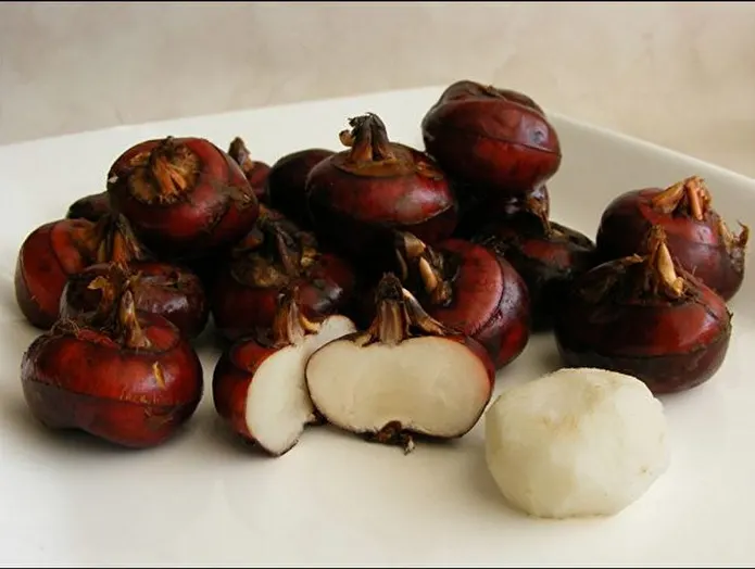 Item image_1