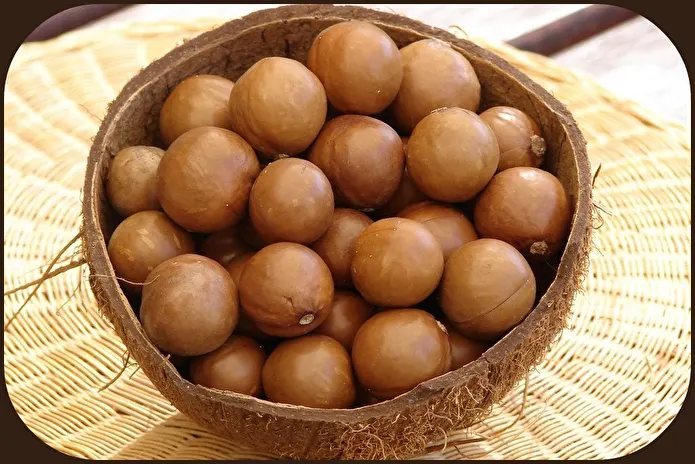 Item image_1