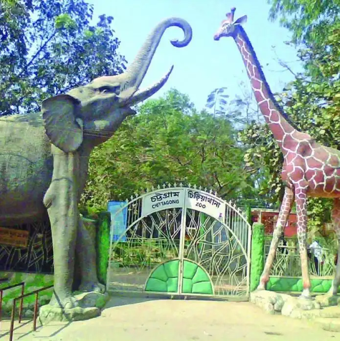 Item image_1