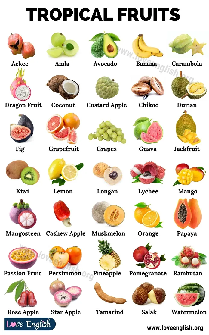 Introduction image