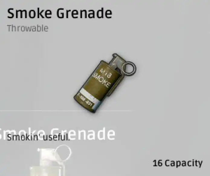 Item image_1