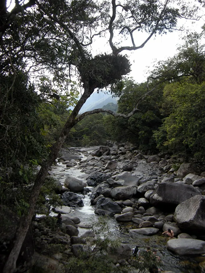 Item image_1