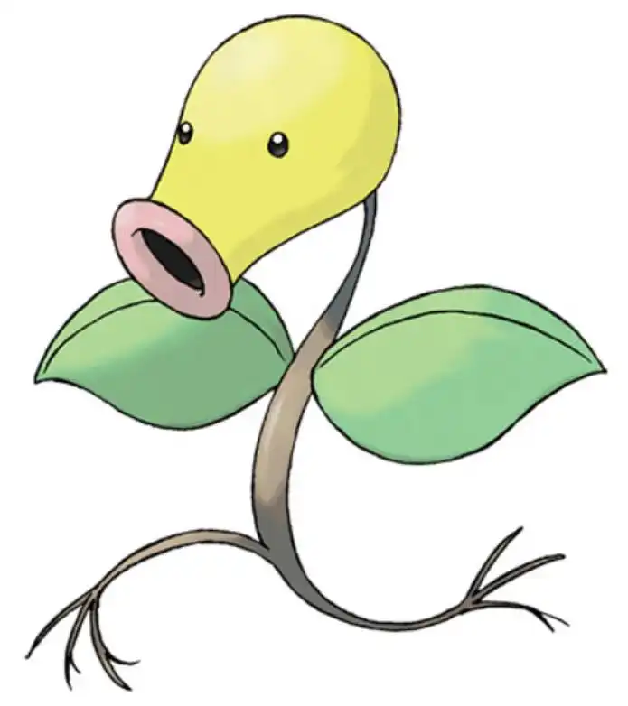 Item image_1