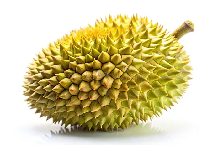 Item image_1