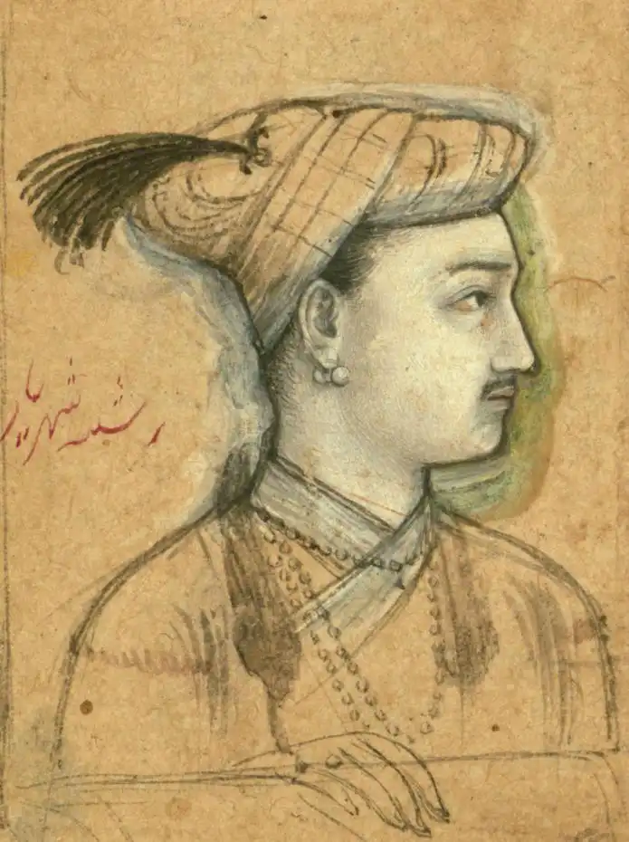 Item image_1