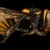 Item Image Thumbnail