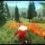 Item Image Thumbnail