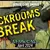 Backrooms Break (2024)