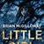 Little Girl Lost