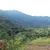 Amazon Rainforest
