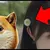 Item Image Thumbnail