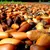 Acorns