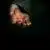 Item image_2 thumbnail