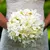 Gardenia