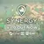 Synergy (2024)