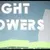 Light Towers (2024)