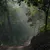 Item Image Thumbnail