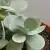 Item image_2 thumbnail
