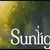 Sunlight (2021)