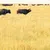 Serengeti National Park