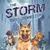 The Storm