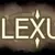 Plexus (2017)
