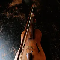 Violin