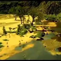 contents feed list image 1