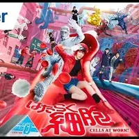 contents feed list image 4