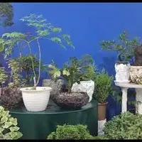 Item thumbnail image