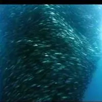 contents feed list image 2