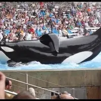 Item thumbnail image