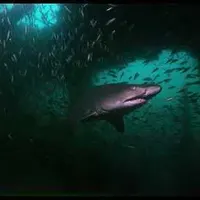 contents feed list image 4