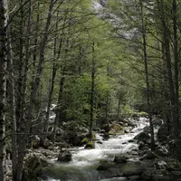 Yosemite Falls