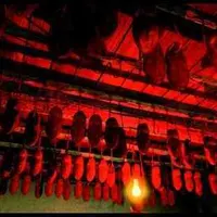 Item thumbnail image