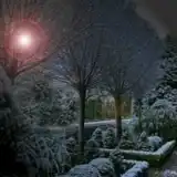 Nav thumbnail image