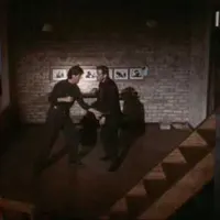 Best Walter Salles Movies