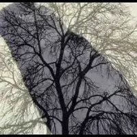 Item thumbnail image