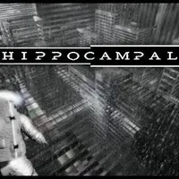 Hippocampal: The White Sofa (2014)