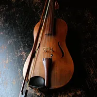 Hardest musical instruments to master