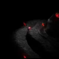 Nav thumbnail image