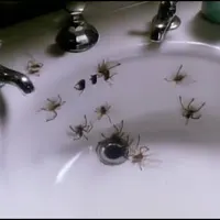 Best Christopher Landon Movies