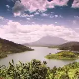 contents feed list image 2