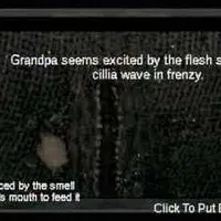 Nav thumbnail image