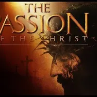 contents feed list image 4