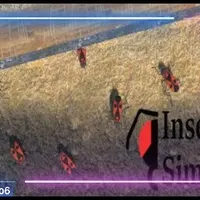 Nav thumbnail image
