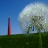Nav thumbnail image
