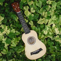 Ukulele